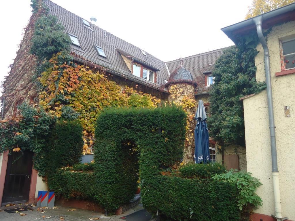 Hotel Burg-Stuben Mainz Luaran gambar